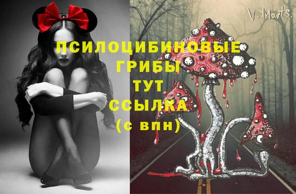 ALPHA PVP Осинники