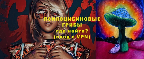 ALPHA PVP Осинники