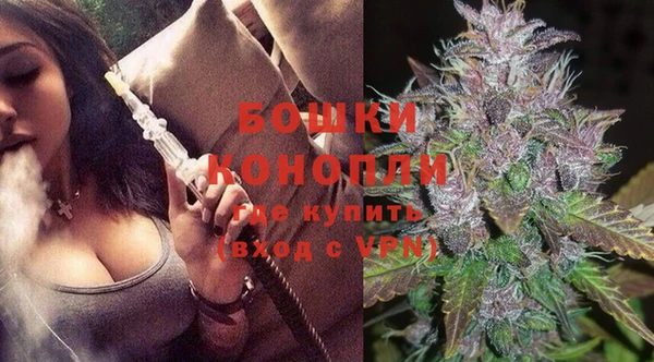 ALPHA PVP Осинники