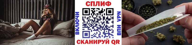 Конопля семена Пугачёв