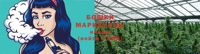 Марихуана THC 21%  наркота  Пугачёв 